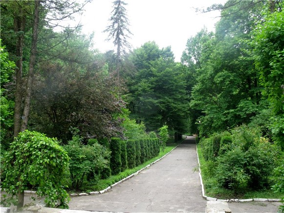 Image - The Storozhynets dendrological park, Chernivtsi oblast.